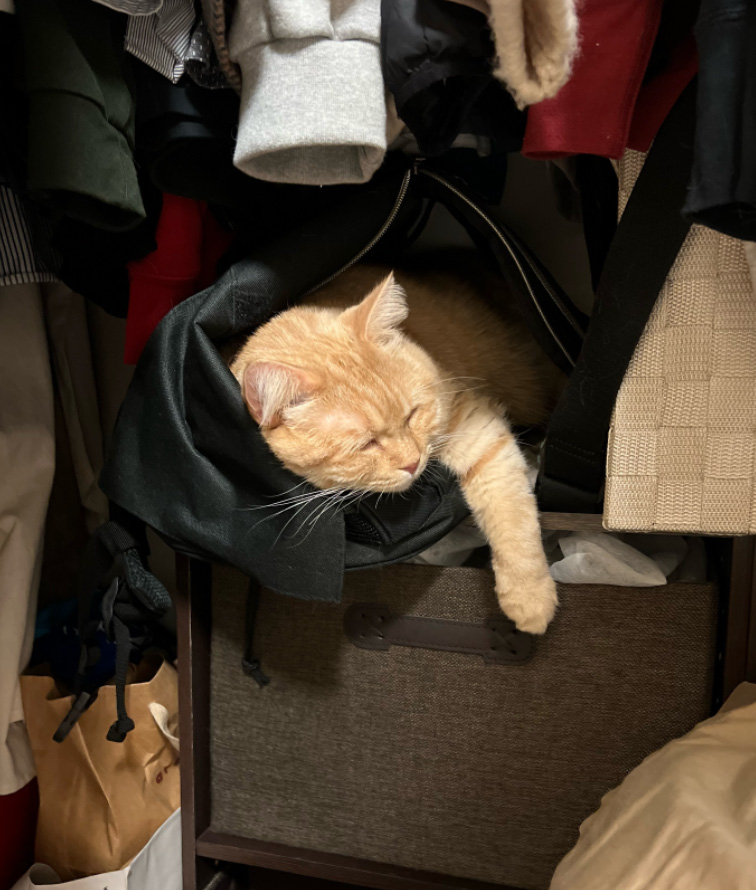 今月のログイン画像