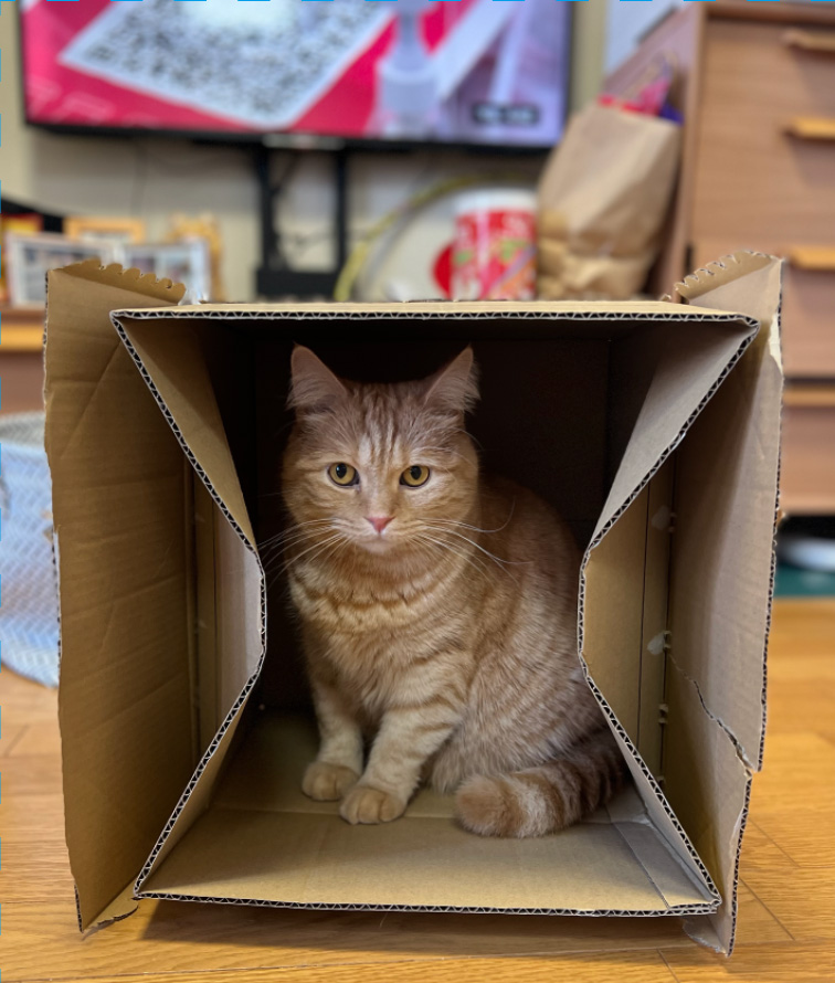 今月のログイン画像