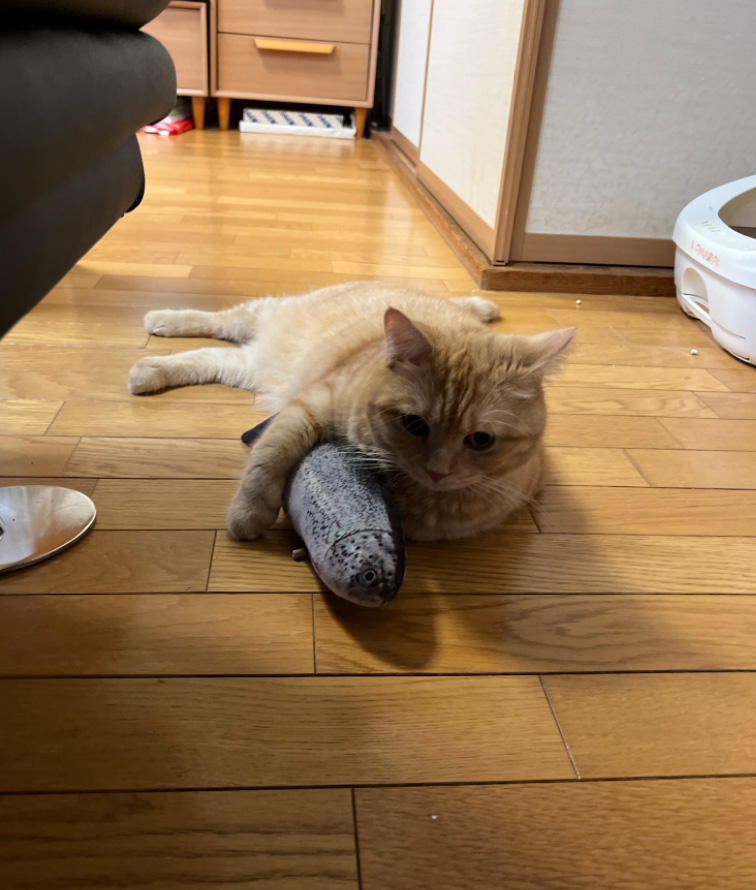 今月のログイン画像