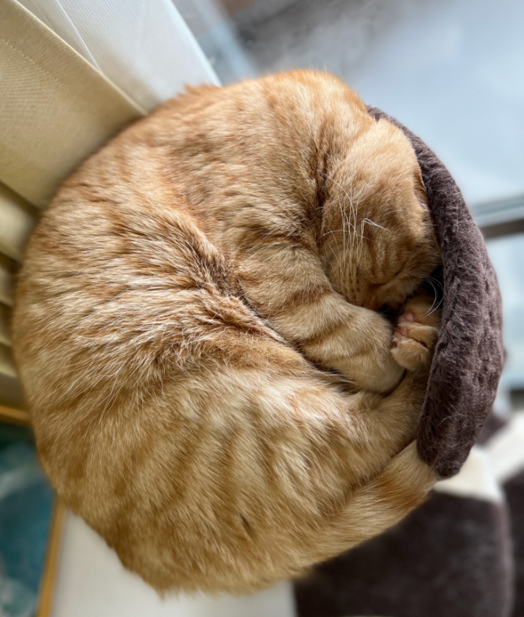 今月のログイン画像